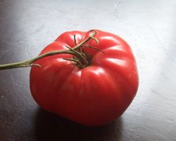 トマト0122.jpg